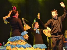 Festival de Folkore en Mula